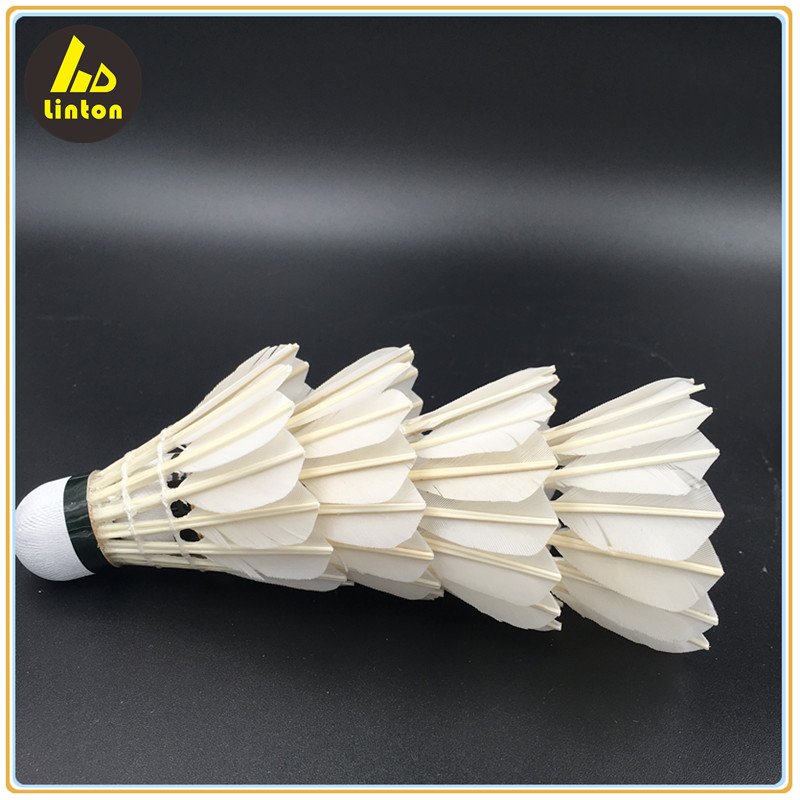 Chinese Manufacturer Factory Sale Goose Feather Training Badminton Balls Shuttlecocks