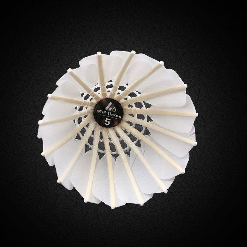 Anhui high quality badminton shuttlecock for sports training Linton brand