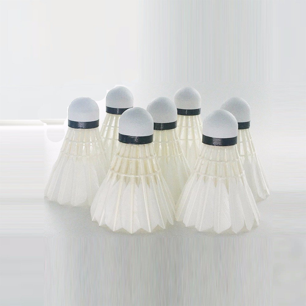 Anhui high quality badminton shuttlecock for sports training Linton brand