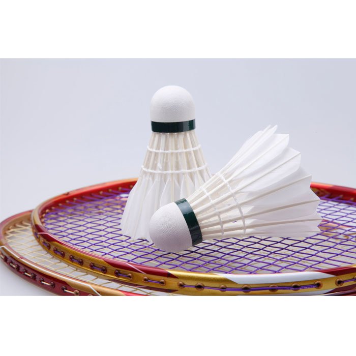 Best Quality As YangYang 300B Grade One Feather Shuttlecock