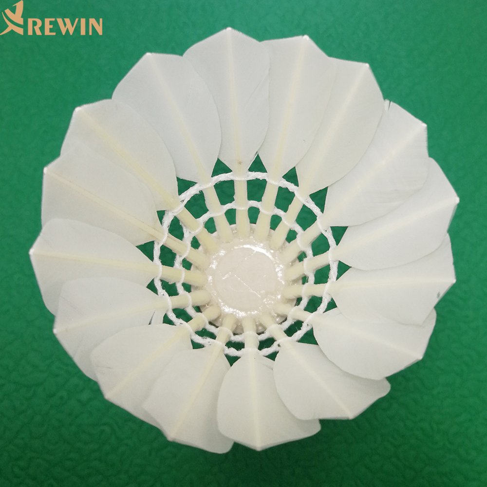 401 Factory Wholesales Indoor Duck Feather Badminton Shuttlecock