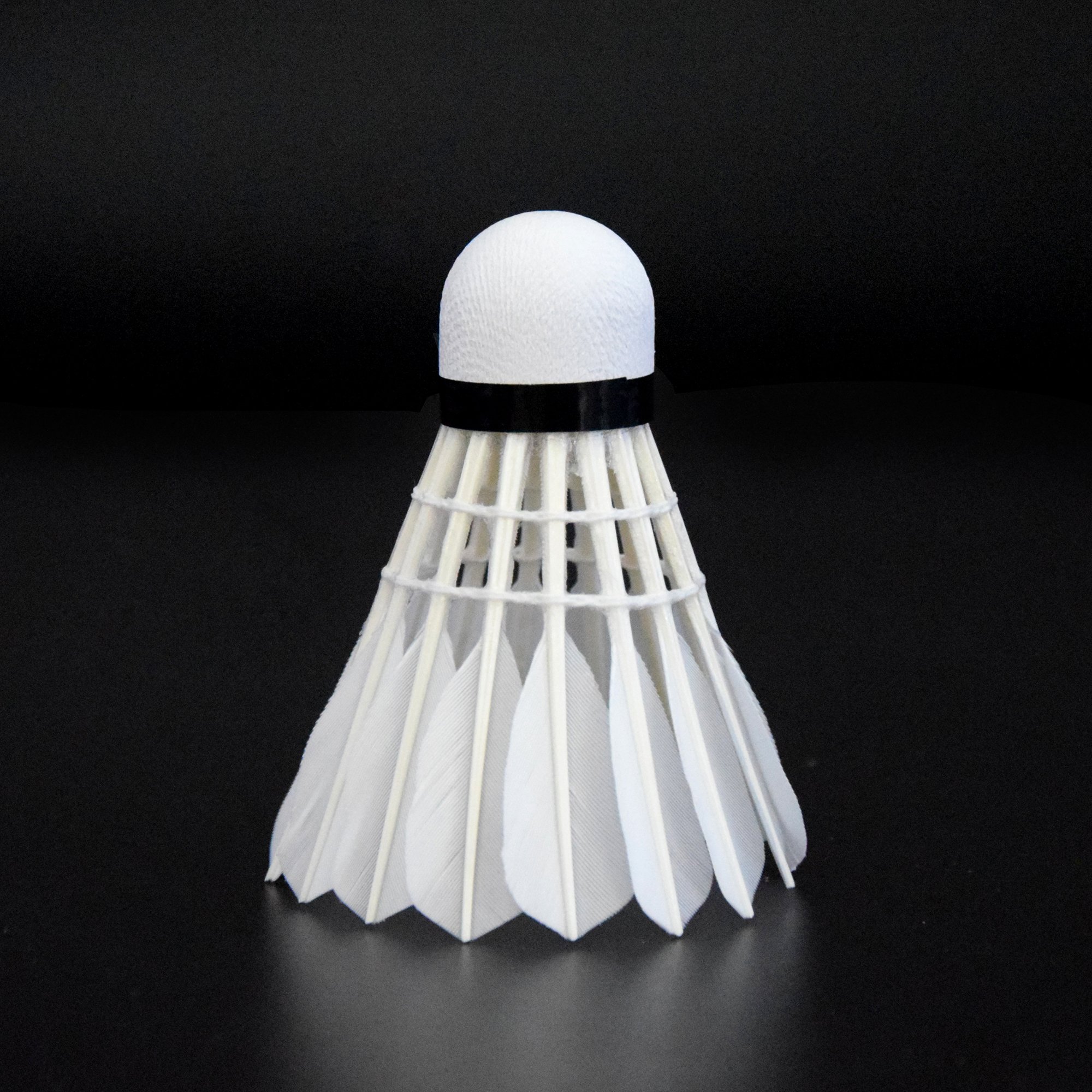 Professional Competition badminton Wholesale Badminton Shuttlecock Goose Duck Feather Birdie Shuttlecocks