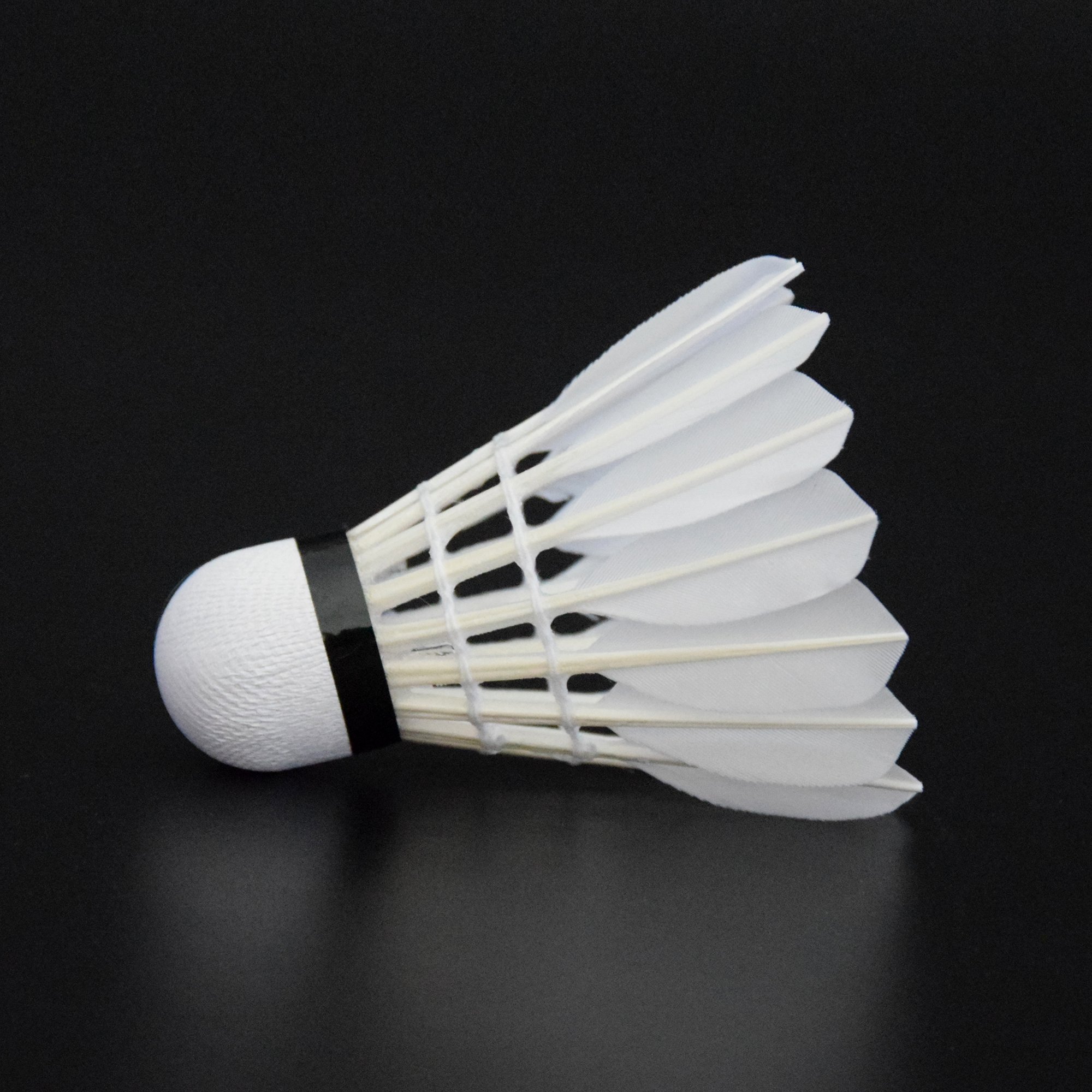 Professional Competition badminton Wholesale Badminton Shuttlecock Goose Duck Feather Birdie Shuttlecocks