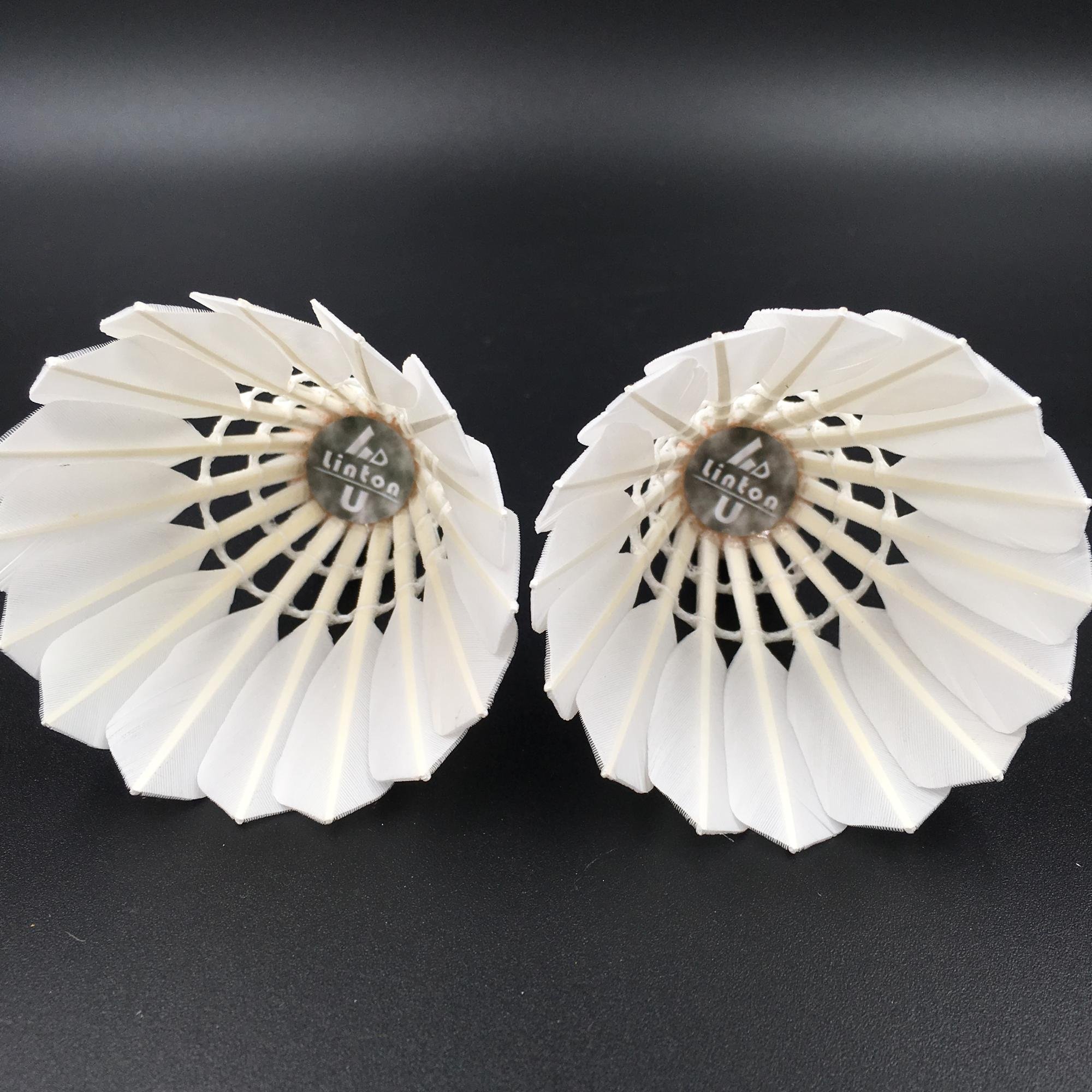 Lindon factory ball badminton ball price shuttlecock