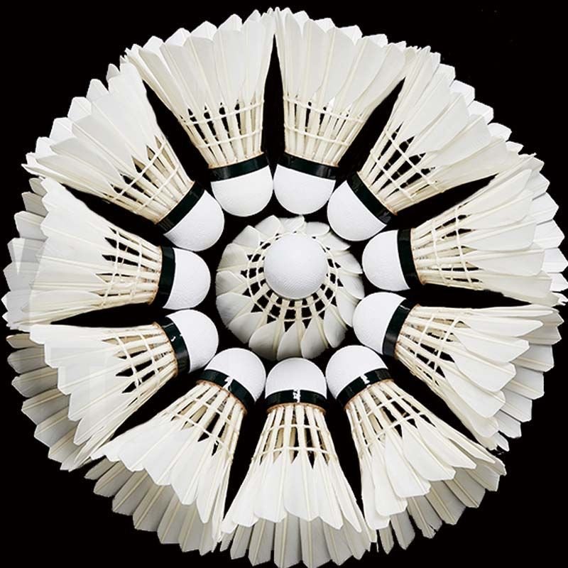 Factory Supply Windproof Durable Goose Feather Ball White And Black Outdoor Learning Training Badminton