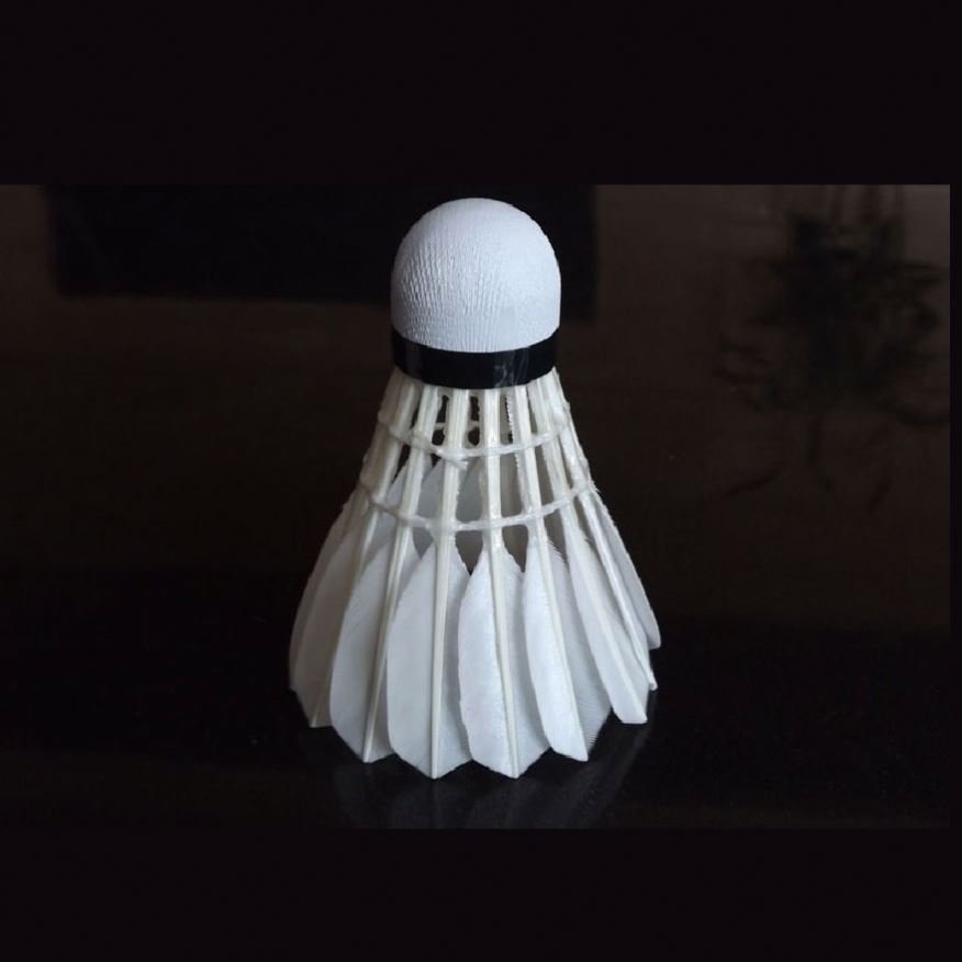 Tournament Grade Xp2 Durable Shuttlecock As 50 For Bodybuilding