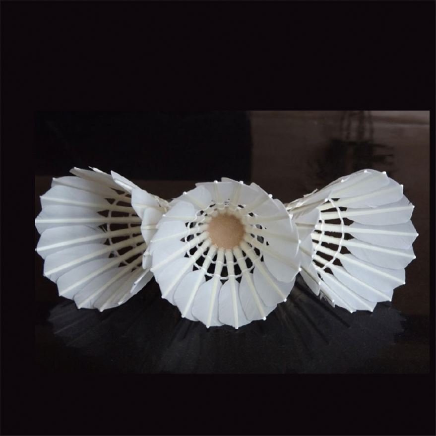 Tournament Grade Xp2 Durable Shuttlecock As 50 For Bodybuilding