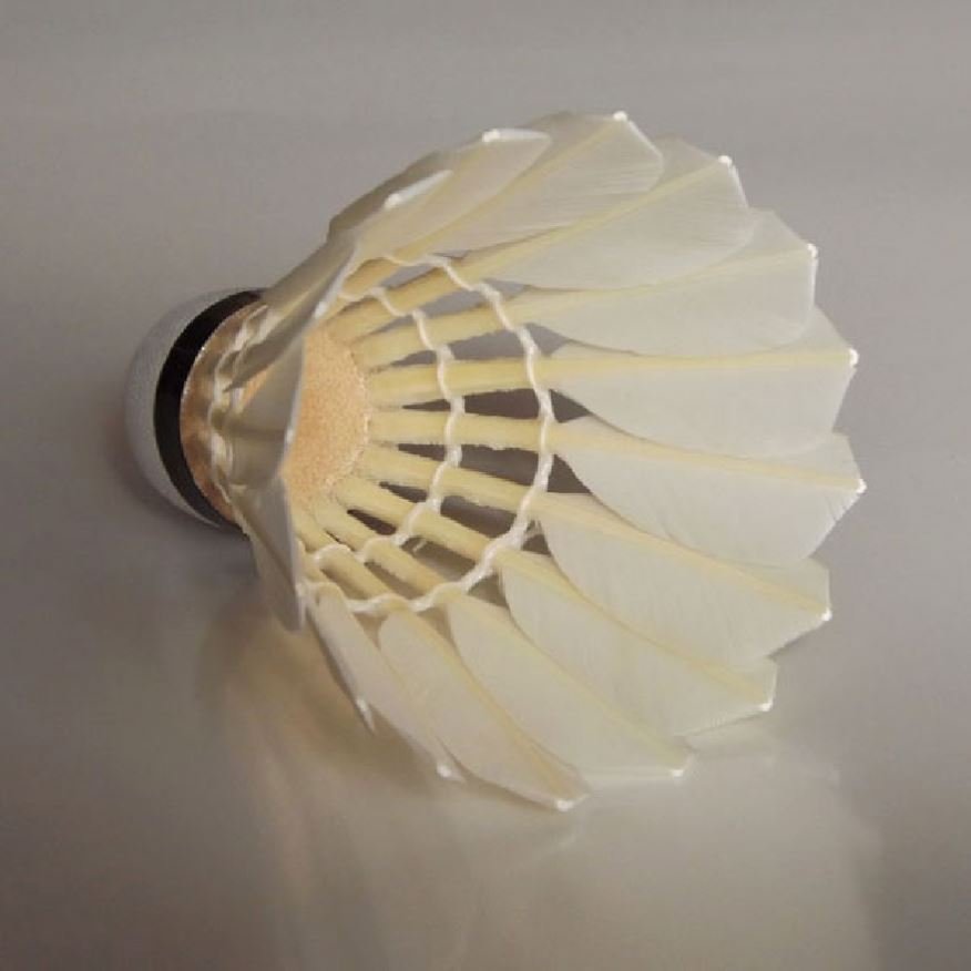 Tournament Grade Xp2 Durable Shuttlecock As 50 For Bodybuilding
