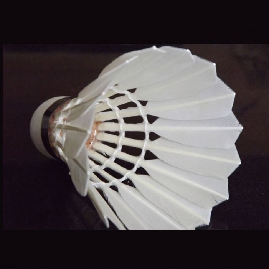 Tournament Grade Xp2 Durable Shuttlecock As 50 For Bodybuilding