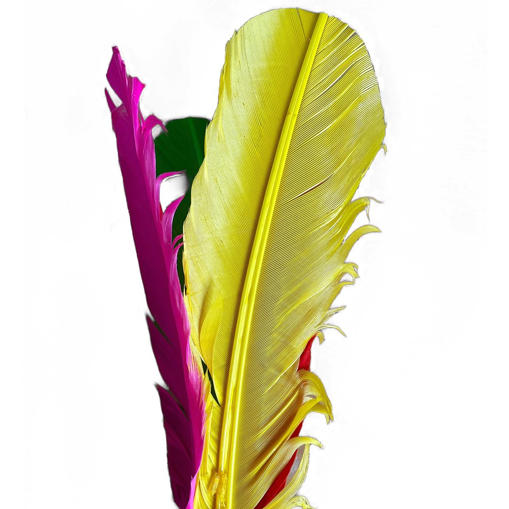 1 Pair Beach Ball Badminton Kick Shuttlecock Colorful Feather Chinese Jianzi for Foot Exercise Outdoor Games