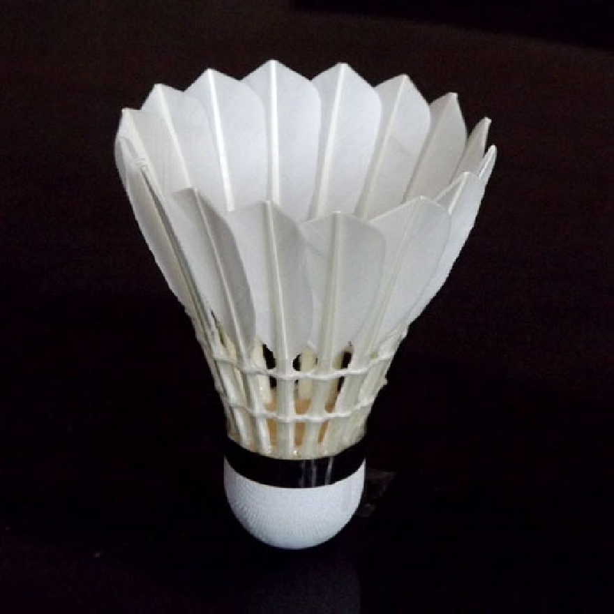 Good Quality Goose Half Feather Shuttlecock Quality Same As Victor Durable Training Badminton