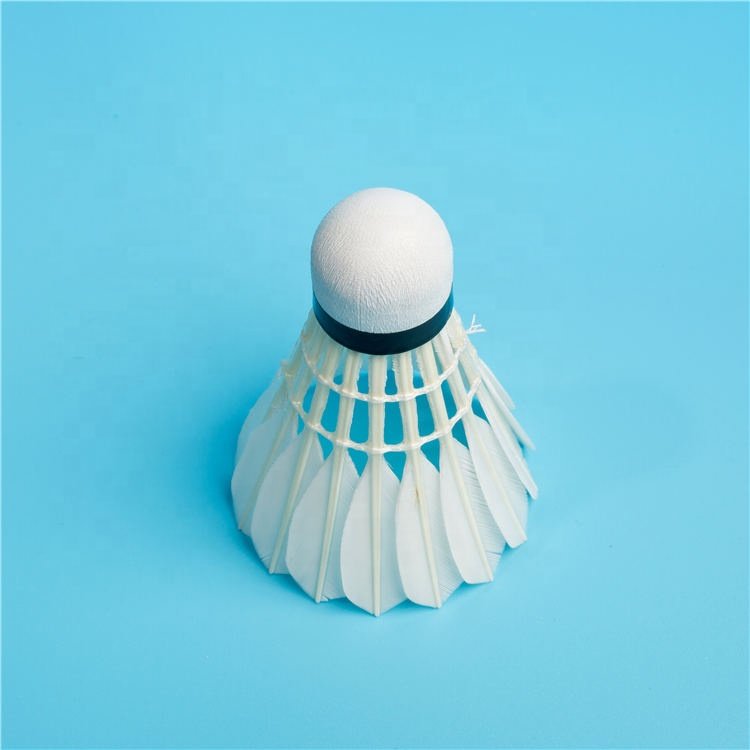 TCX BRAND TCX-ACE Durable Goose Feather 3 Layer Cork Badminton Shuttlecock for Professional Tounament with Good Price