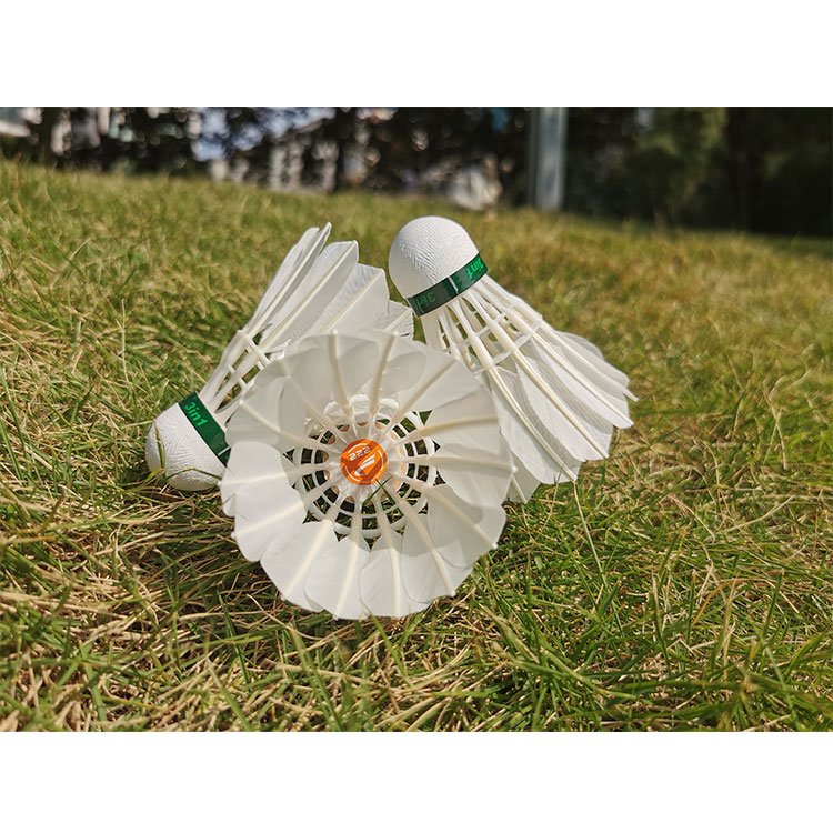 Anyball Good Quality 12pcs Fiber Cork 100% Goose Feather Badminton Shuttlecock For Professional Tournament