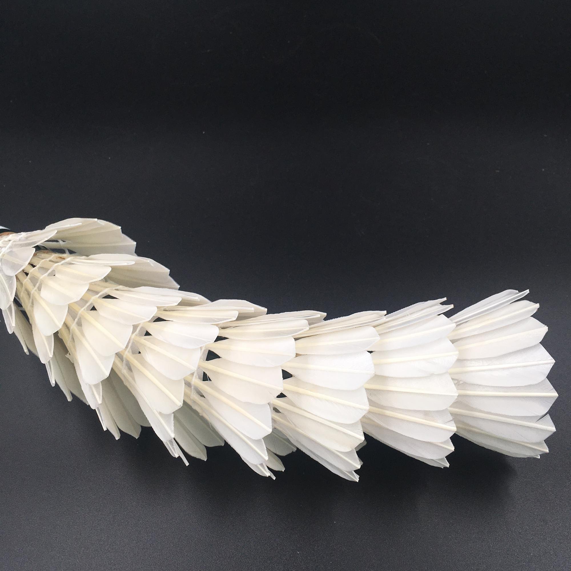 12 pcs Class B Natural Goose Feather OEM Badminton Shuttlecock Feeder