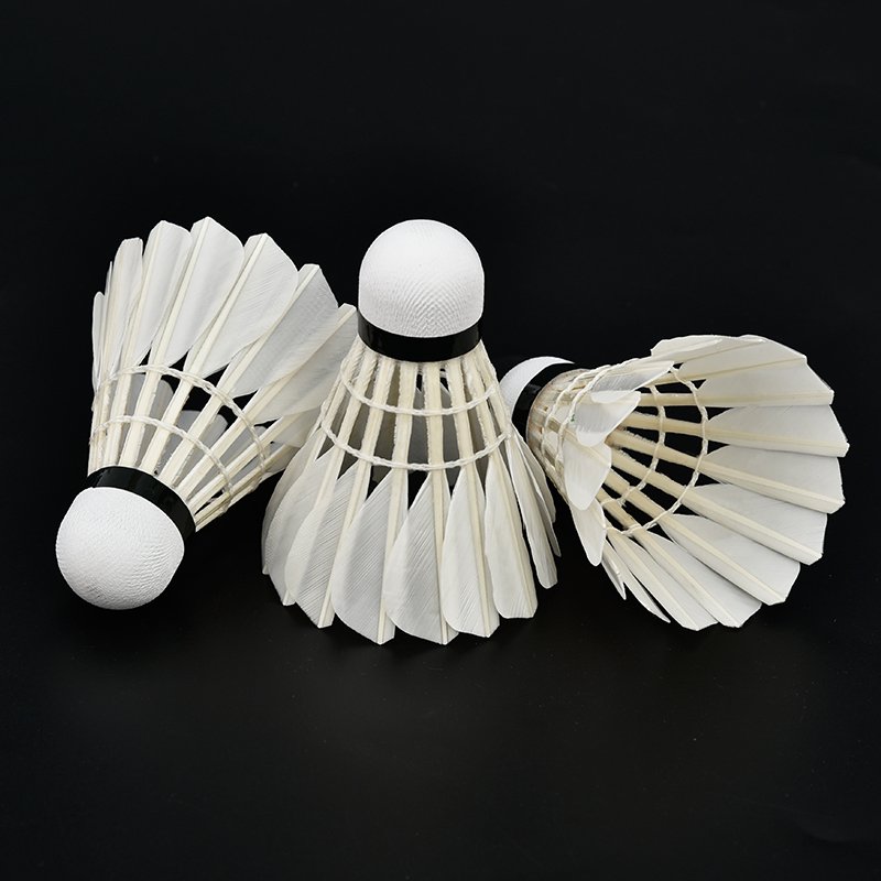 Badminton Shuttlecock oem YS8 Indoor training big board white duck feather super durable badminton shuttlecocks