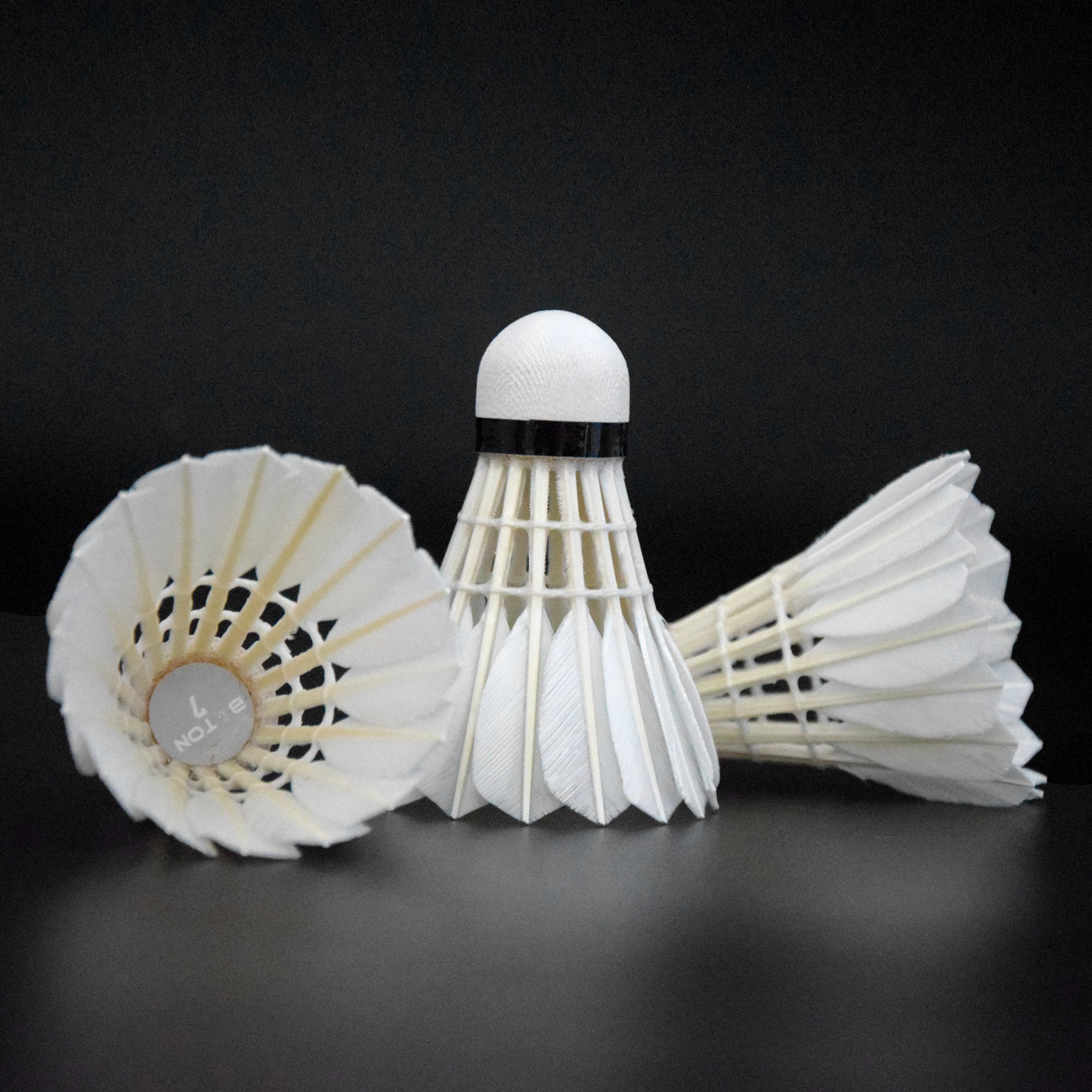 Shuttlecock Hot in Malaysia Shuttlecock