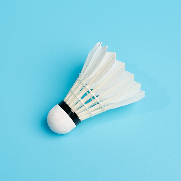 TCX999-Popular Sales in Europe TCX Brand Badminton Shuttlecock Goose Feather