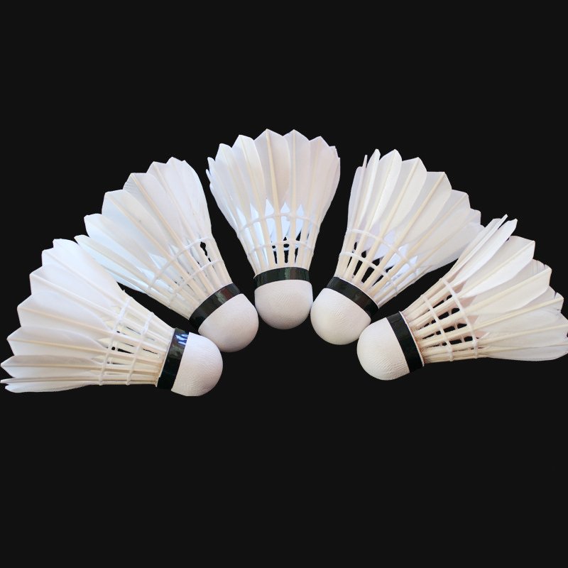 Custom Logo Goose Feather Club Training Shuttlecock Badminton For Competition