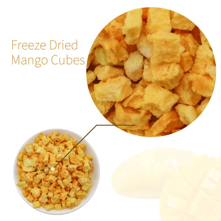 Factory Price Top Quality 100% Pure Organic Seedless Soft Froze Dried Diced Mango Fruit