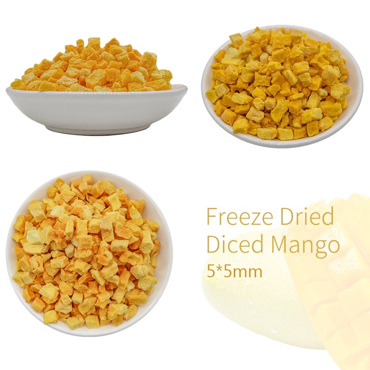 Factory Price Top Quality 100% Pure Organic Seedless Soft Froze Dried Diced Mango Fruit