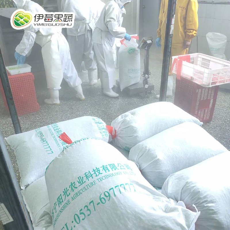Carrot granule factory wholesale restaurant hotel frozen dehydrated carrot granule carrot block