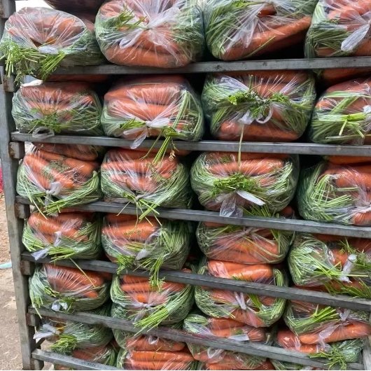 Exclusive Import Opportunity Retail Ready Dices factory price frozen carrot For Wholesaler Buyer
