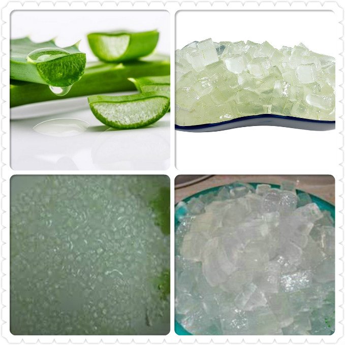 Fengxiang Food Machinery CD-800 Automatic Fruit Vegetable Onion Cutting Machine Aloe Vera Cube Dicing Machine
