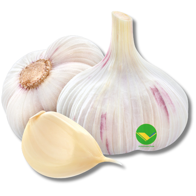 Bulk Buyers' Bliss and Retail Ready Frozen Garlic Frozen Garlic from Vietnam Frozen Garlic Cube for wholesaler (+84983028718)