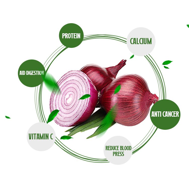 IQF Frozen Onion dices Frozen Vegetables Onion frozen vegetables and fruits hot season good quality Frozen Onion for Sale