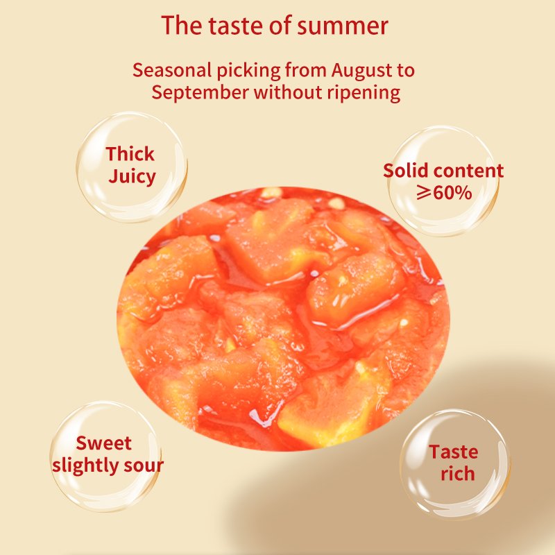 Made in china 252g 400g canned organic diced tomatoes Canned Chopped Tomato canned food