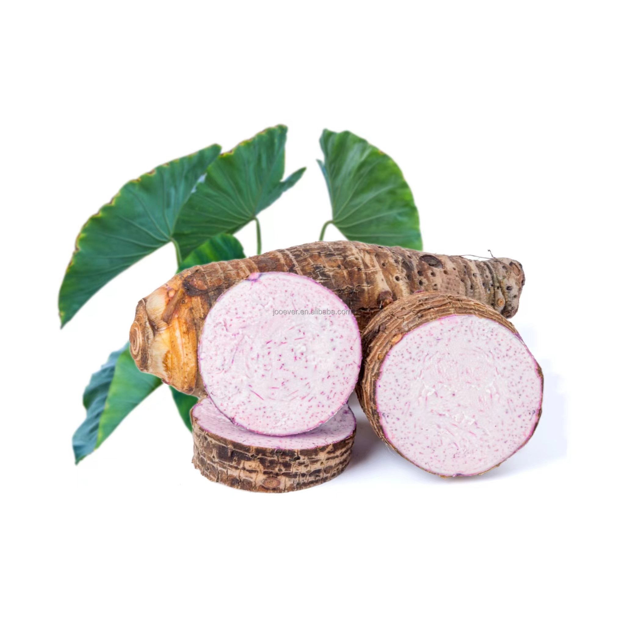 China HACCP BRC IQF Frozen Taro dice