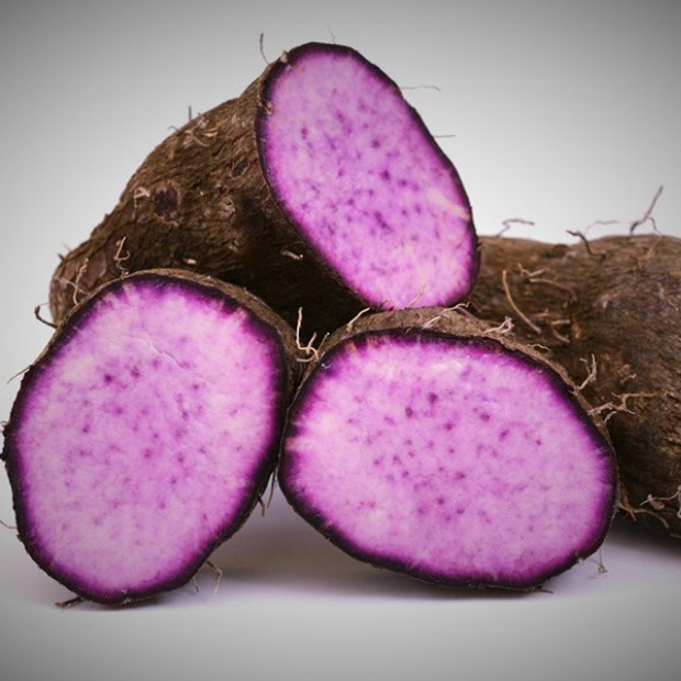 Export fresh or frozen purple yam dioscorea alata sliced and cube with best price from Vietnam