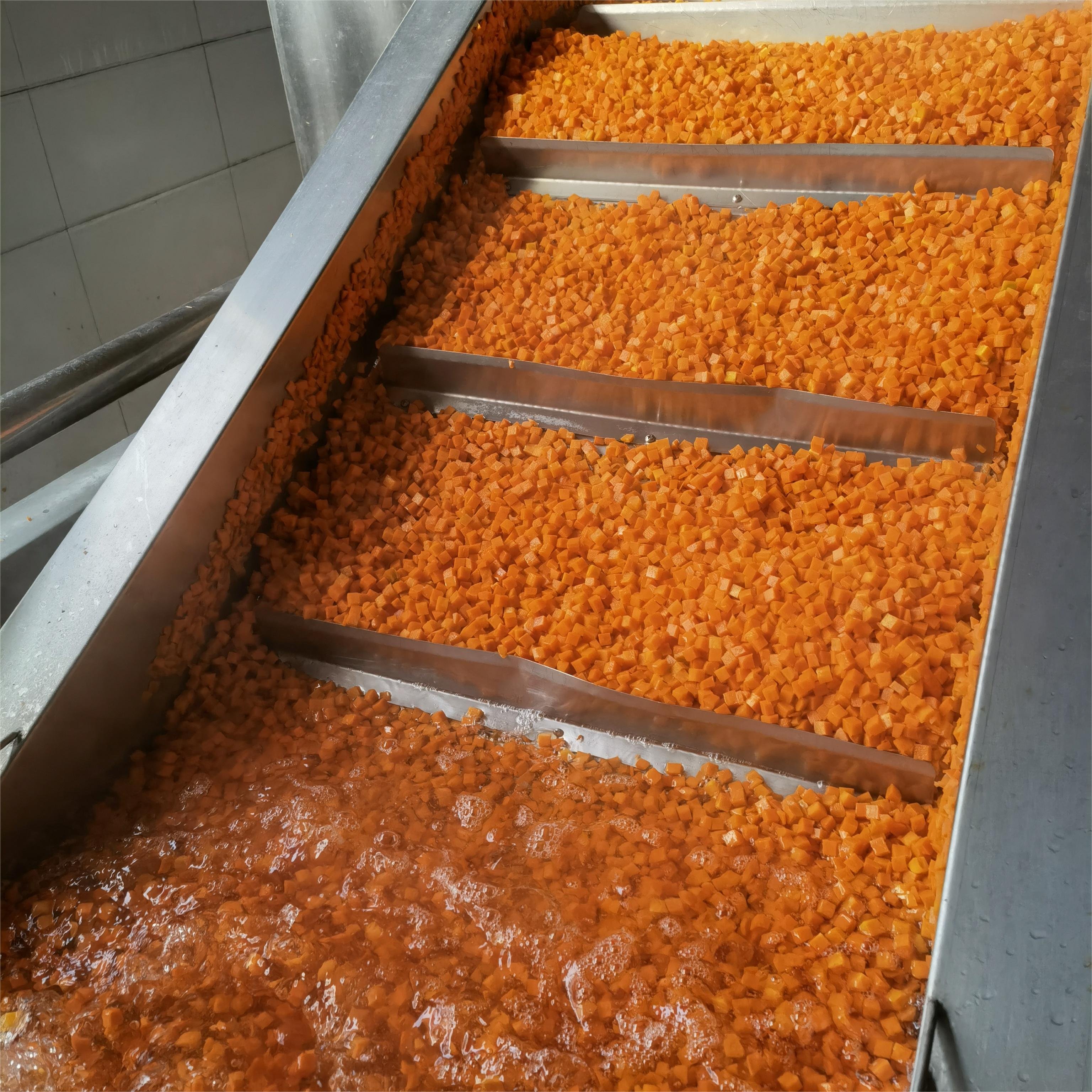 factory direct export frozen carrots dices wholesale frozen carrot dices