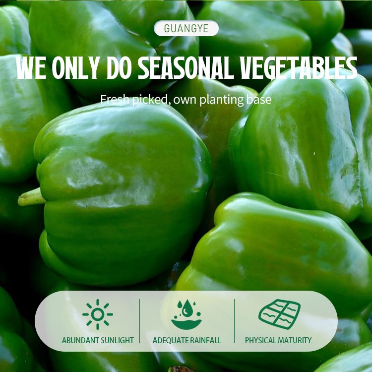 Guangye Haccp certificate Premium Vegetables Iqf Frozen bell pepper Oem Service Whole Stick slice Cut Diced Sliced Cubes Bell Pe
