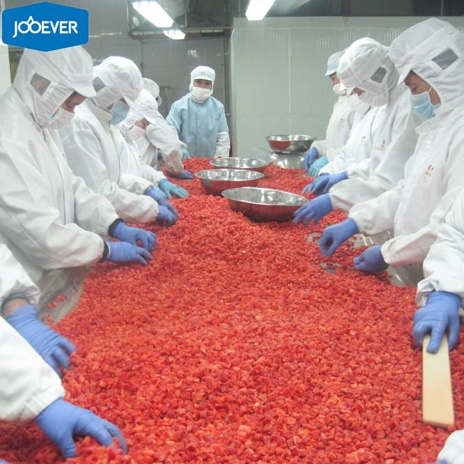 Hot Sale IQF Premium Diced Red Pepper & Vegetables Frozen Cubed and Chopped Pattern Halal Certified High Demand Product