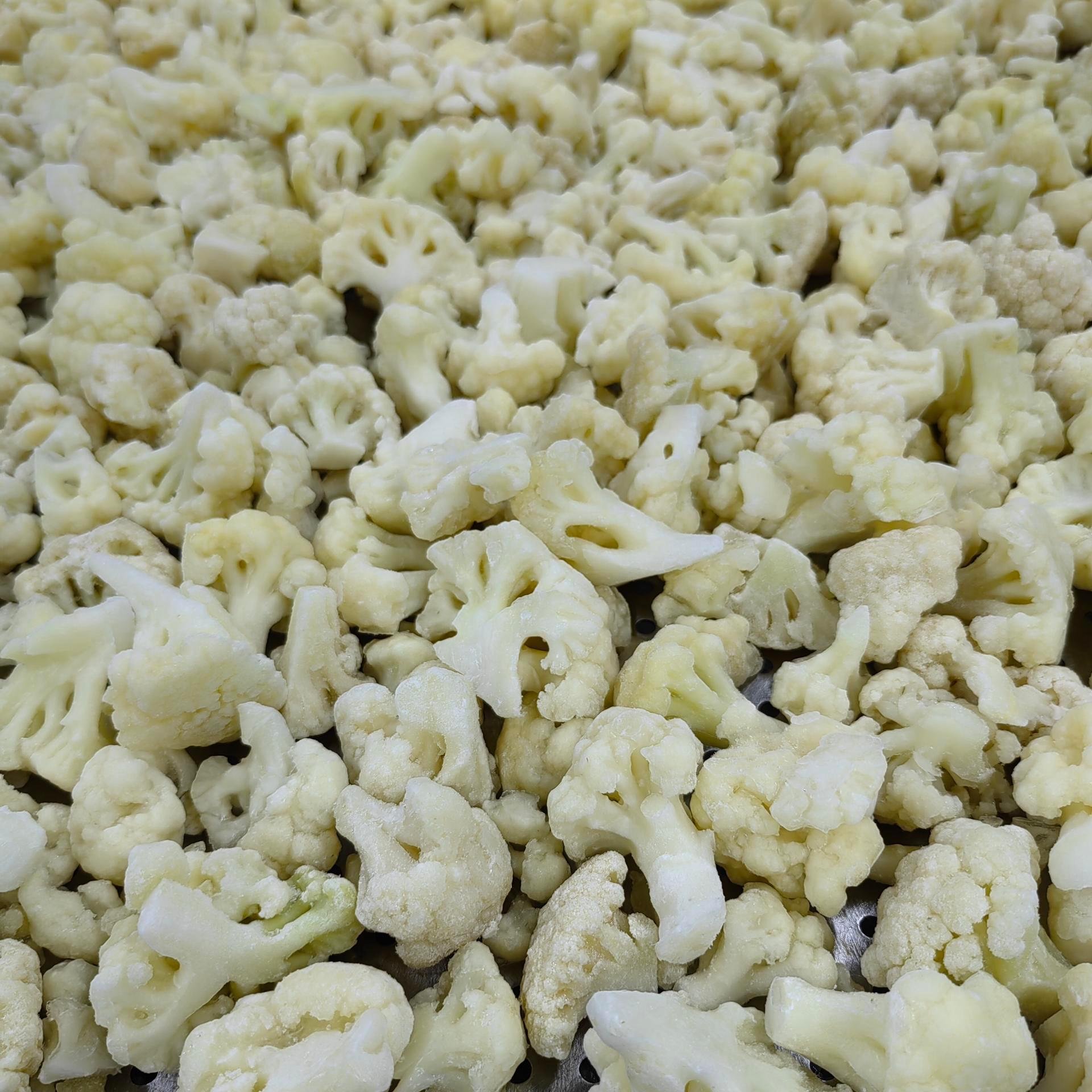 IQF Frozen Best Fresh White Freezing Organic riced Cauliflower Florets Broccoli Veggies Chunk Diced Block Cube Bulk in bag