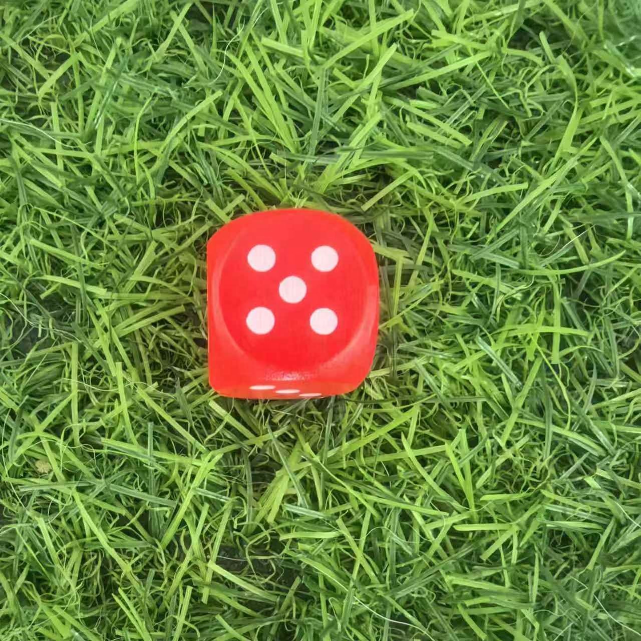 High Quality D6 20mm round Corner Wooden Dice with Dots for Board Games Promotion