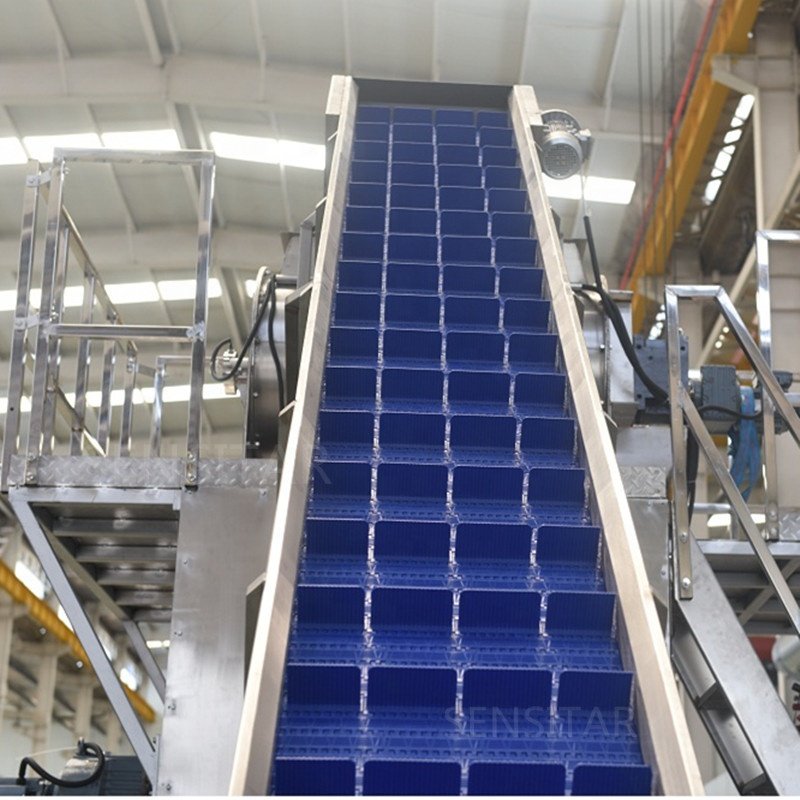 Canned peeled tomatoes processing machine cherry tomato canned diced fruit production line tomato steam peeling machine