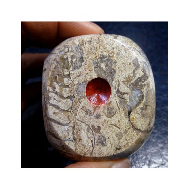 High Quality Fossil Marble Dice Available In Low Cost