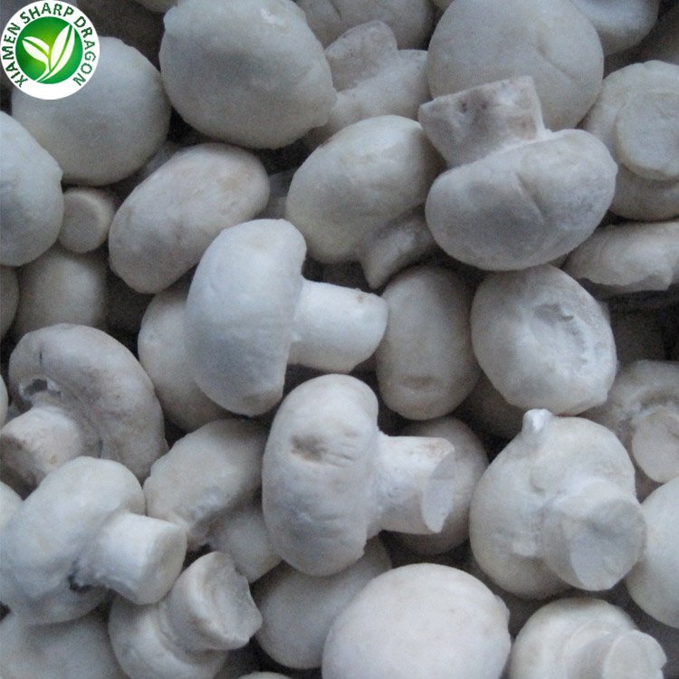 Frozen IQF White Champion Button Mushroom Dice Sliced Chunk Diced Block Cubes Cuts Bulk Organic Freeze Freezing Healthy Natural