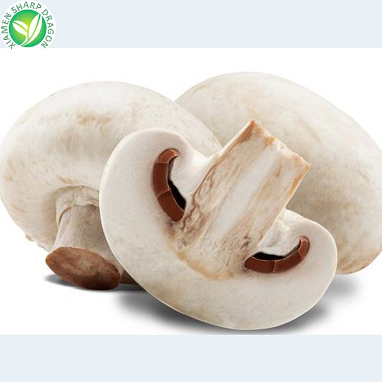 Frozen IQF White Champion Button Mushroom Dice Sliced Chunk Diced Block Cubes Cuts Bulk Organic Freeze Freezing Healthy Natural