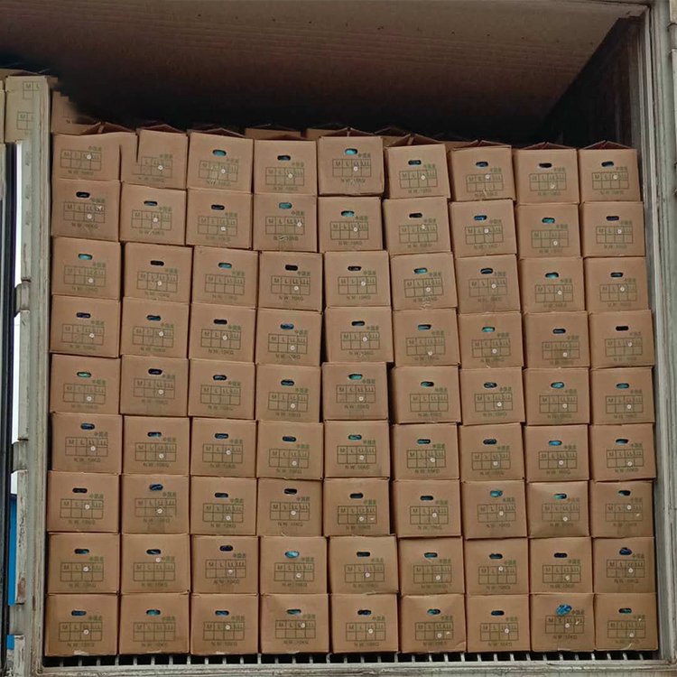 10*10 mm Frozen Organic White Onion Diced Frozen IQF Vegetables