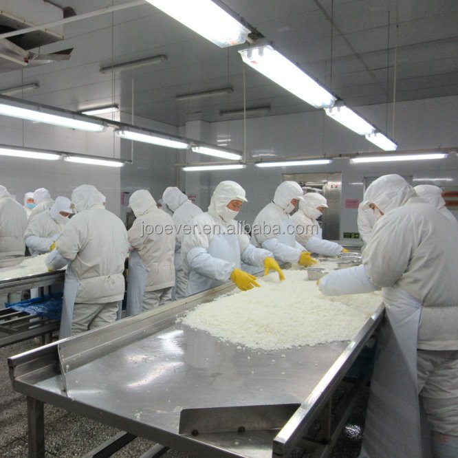 China HACCP BRC IQF Frozen Onion dice