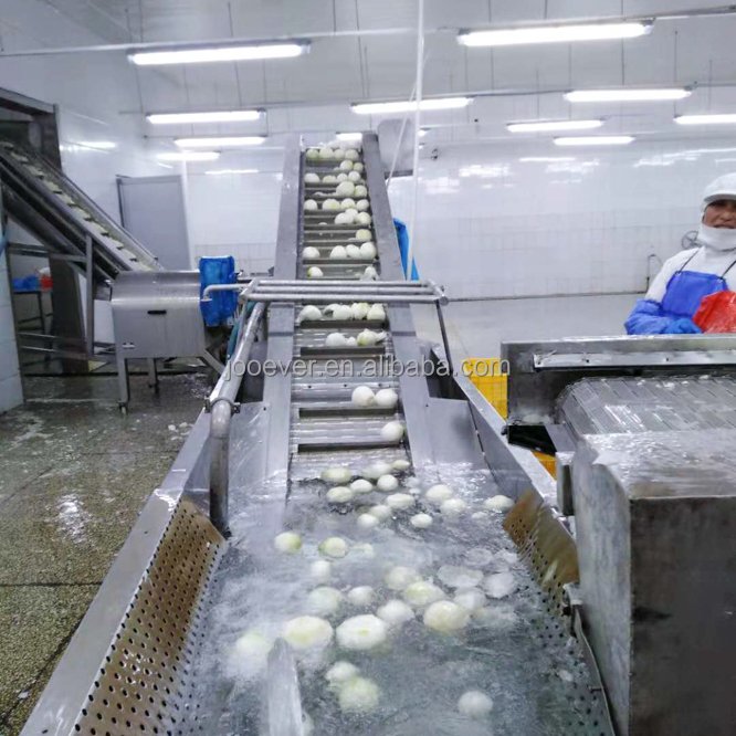 China HACCP BRC IQF Frozen Onion dice