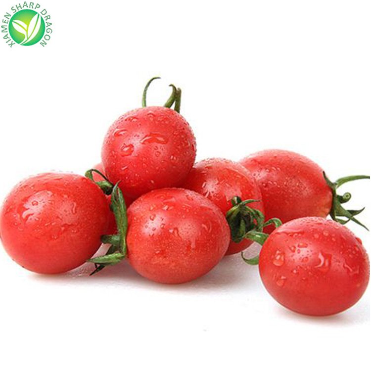Export wholesale 18-30mm half diced iqf frozen cherry tomato in bulk price