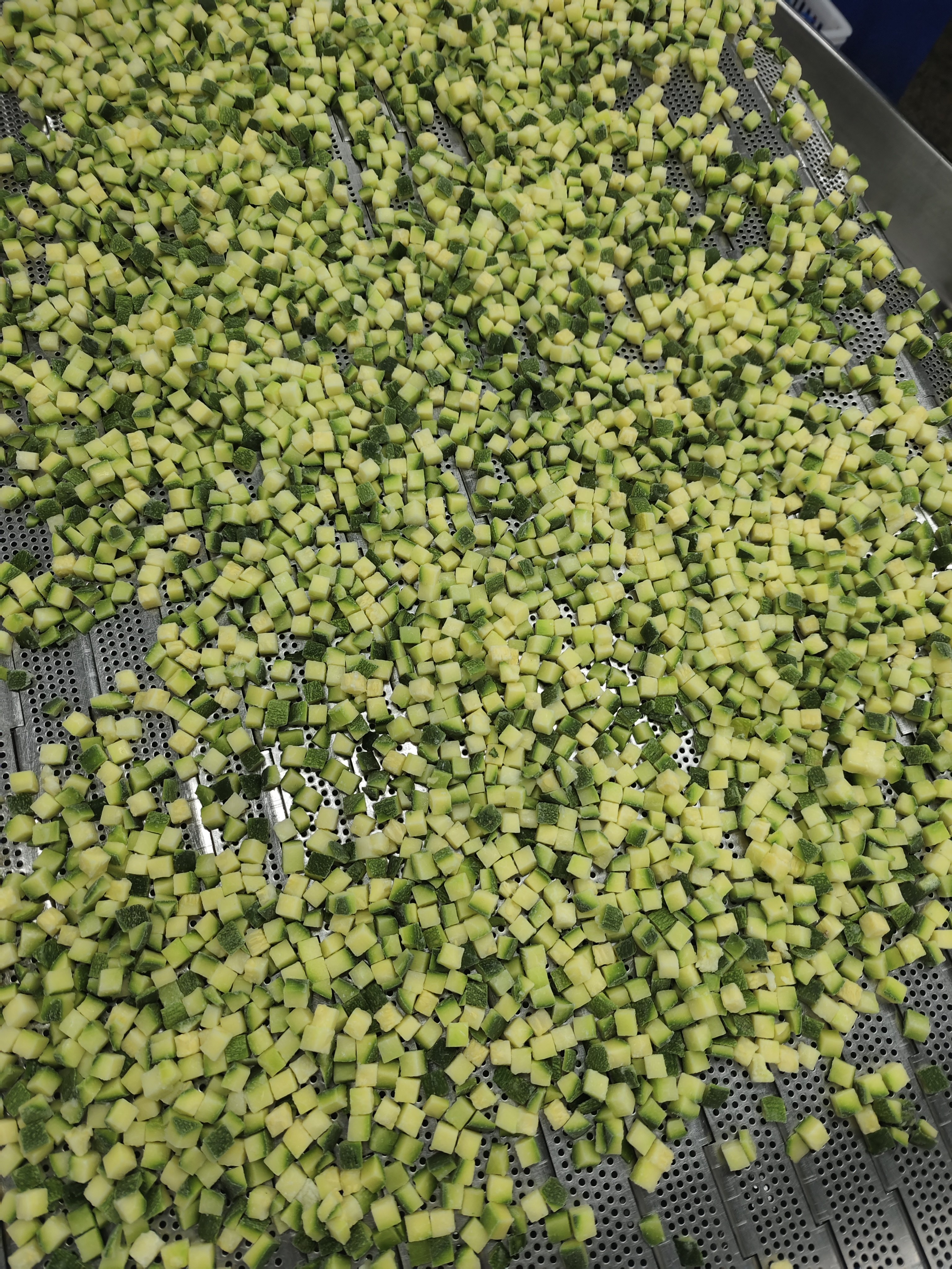 Frozen Vegetable High quality IQF Zucchini Cube Frozen Zucchini