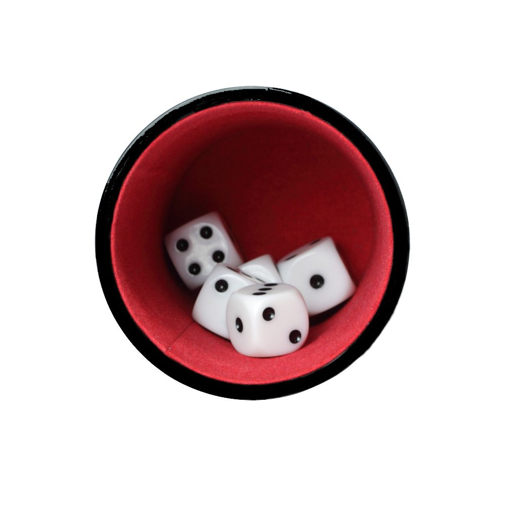 dice game include pu beaker and dice