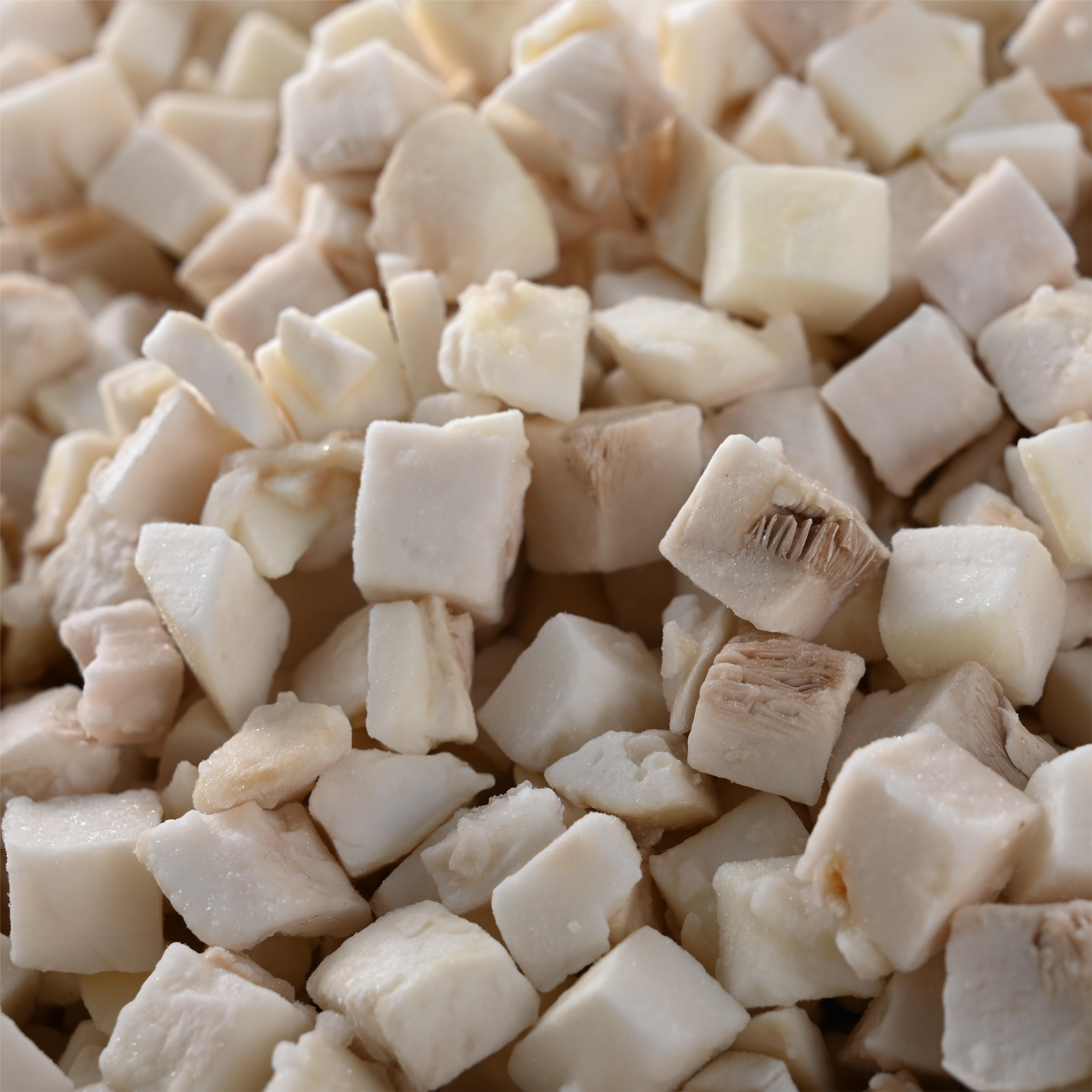 Frozen Champignon Mushroom Diced Quick Frozen Champignon Mushroom Diced