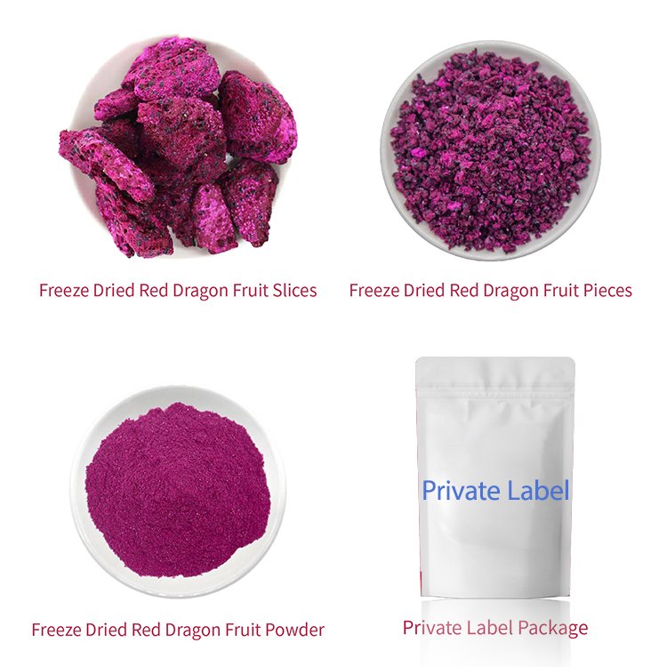 OEM Private Label Wholesale Bulk Pitaya Pieces Freeze Dried Dragon Fruit Dices/Cubes with Free Sample