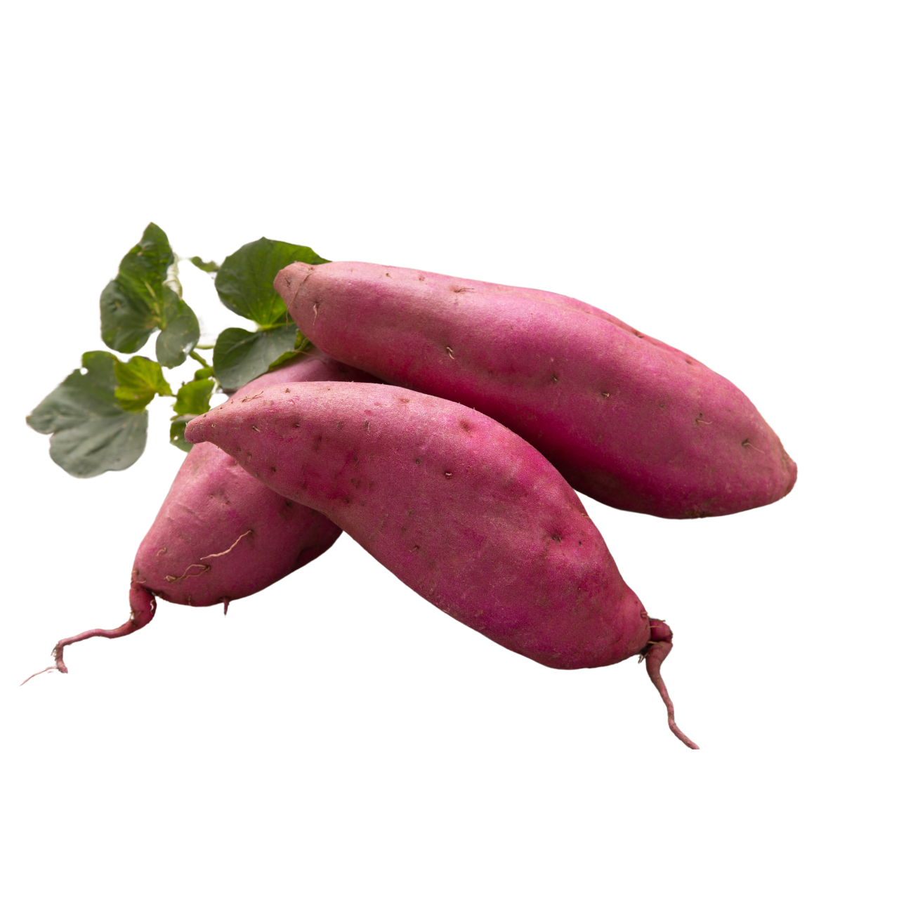 Reasonable prices and High quality with Frozen Sweet Potato Frozen Sweet Potato from Vietnam for importer